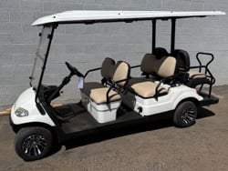 2018 Advanced EV 6 Seater image