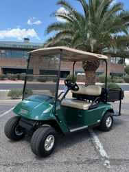2009 EZGO TXT image